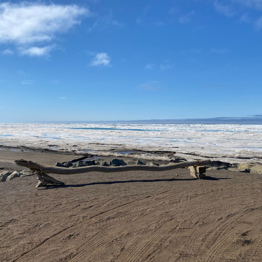 A beach in Wainwright, Alaska with a piece of driftwood on the sand.