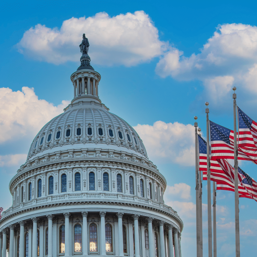 The Capitol Building with several American flags waving next to it.
